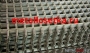 сетка сварная Оцинкованная 50х50х4 мм